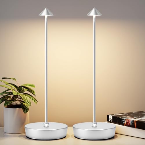 2pack Silver