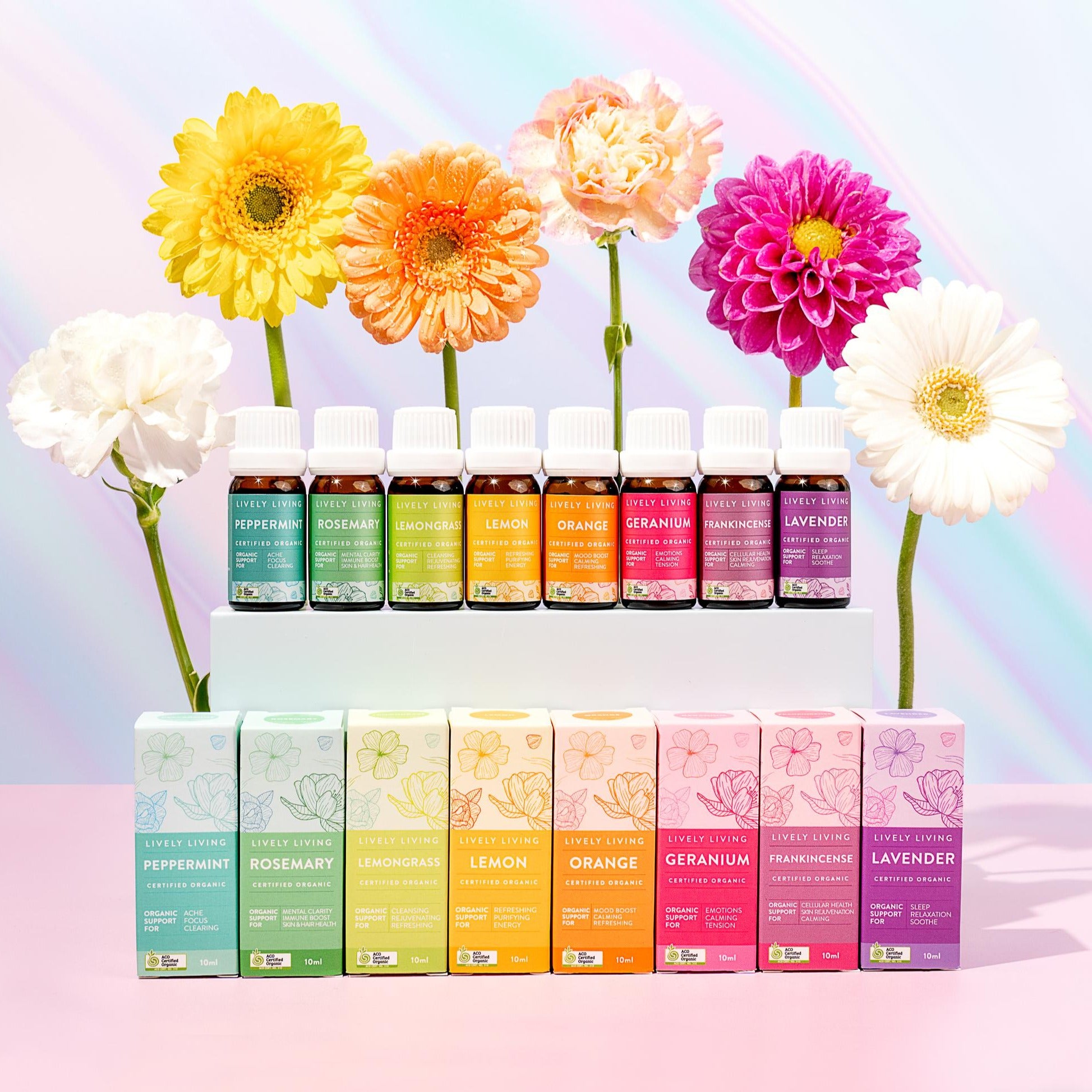 3-Pack Single Note Essential Oils Set - 100% Pure Therapeutic Grade Aromatherapy Oils for Diffusers, Massage & Relaxation - Free Gift Included