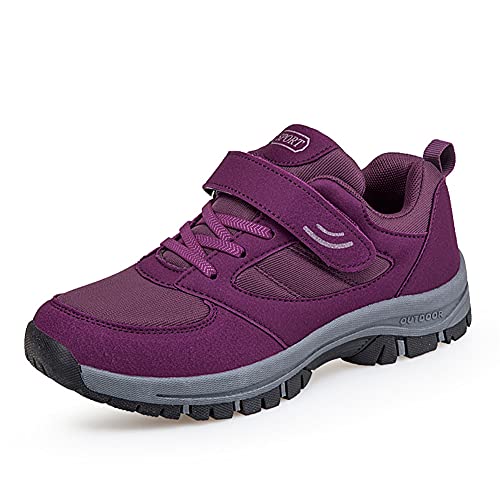 2093 Purple