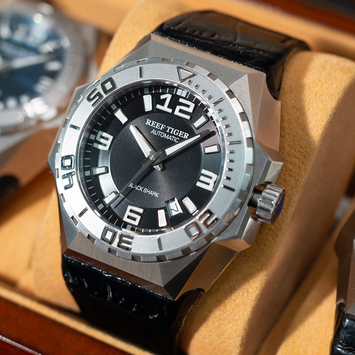 REEF TIGER RGA6903 Men's Automatic Dive Watch - Stainless Steel Case, Leather Strap, Military Style - Perfect for Scuba Diving, Water Sports & Outdoor Adventures