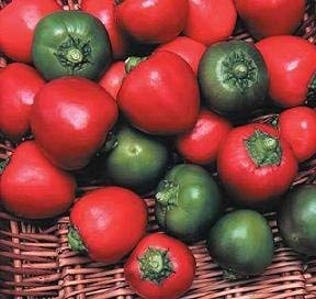 Hot Cherry Bomb Pepper Seeds (PEP349) - Mildly Spicy Peppers for Home Gardening, Cooking & Salsas