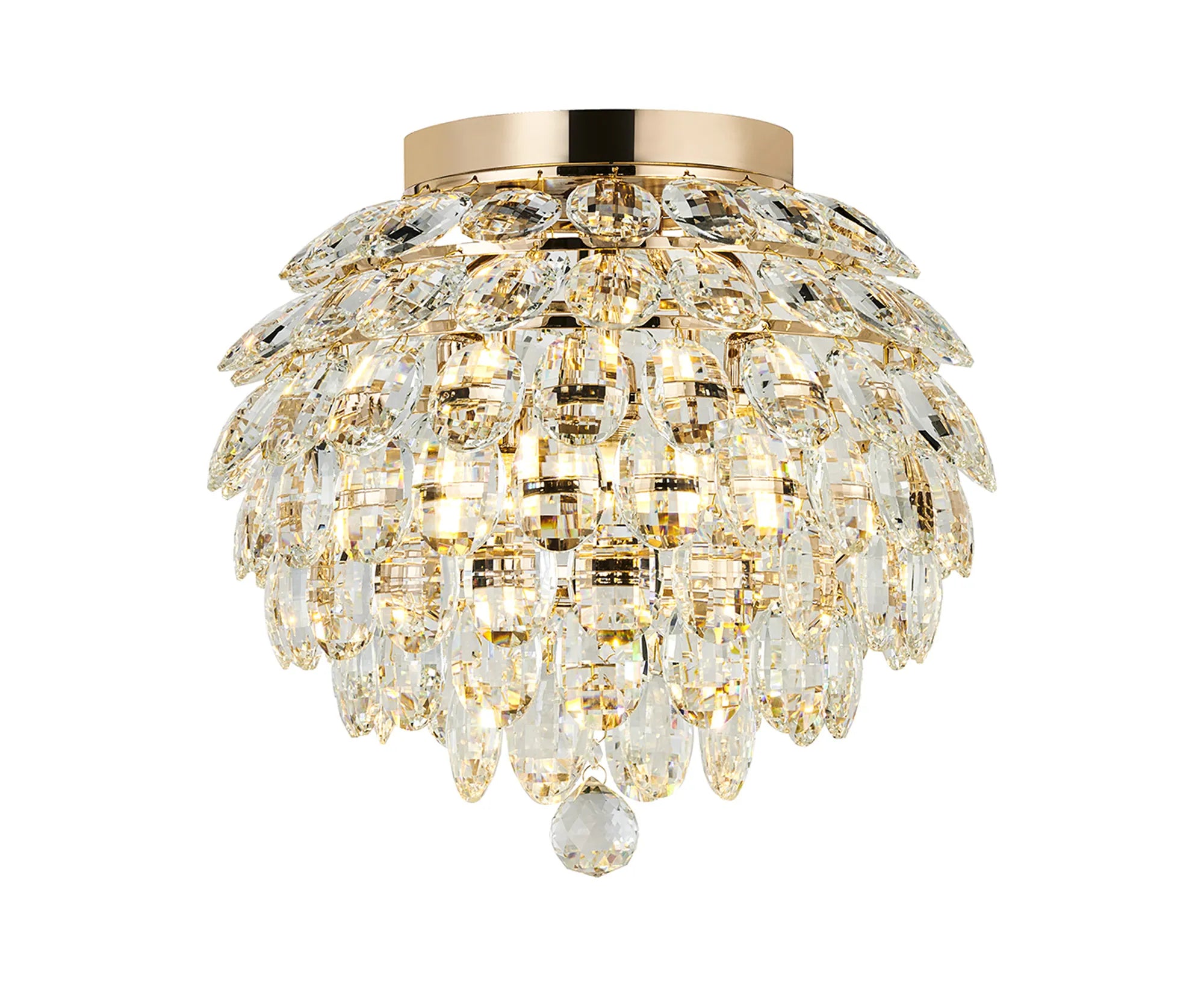 French Gold & Clear