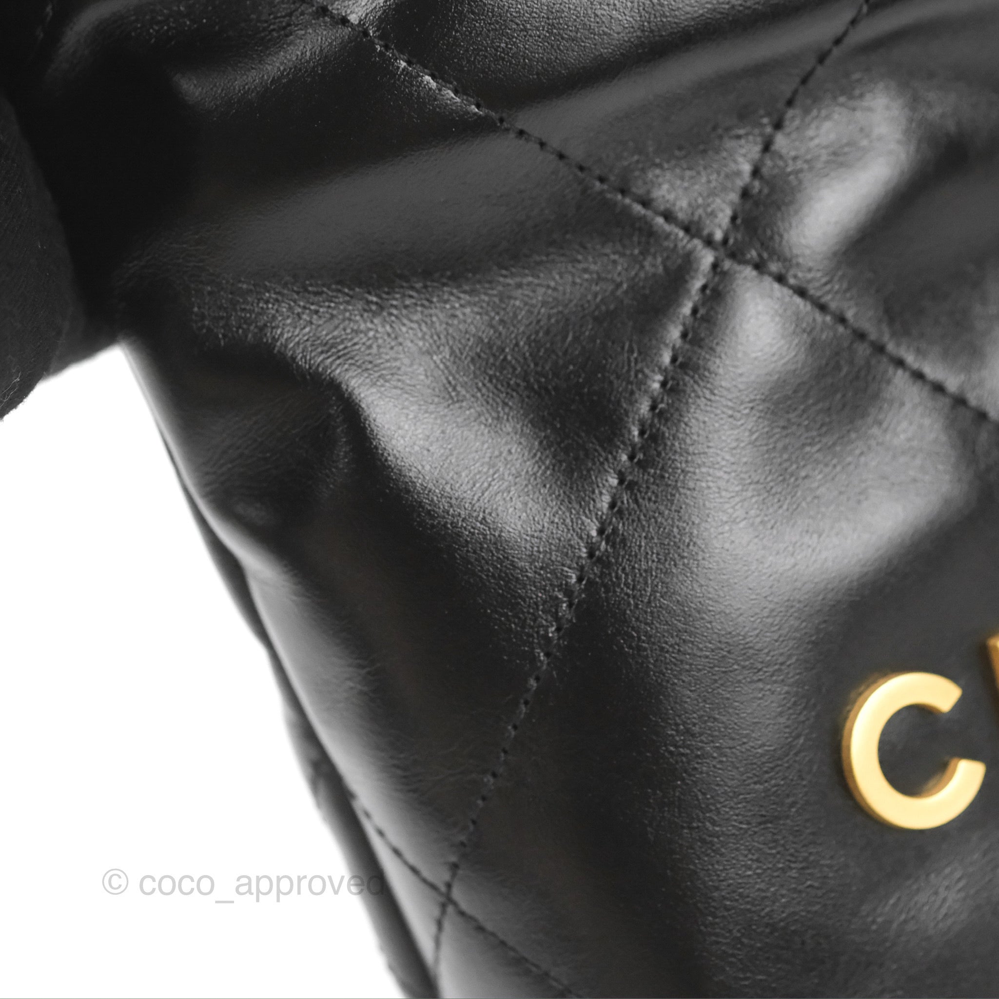 Chanel 22 Mini Bag Black Crumpled Calfskin Leather Crossbody Purse for Women | Luxury Designer Handbag for Date Night & Evening Events