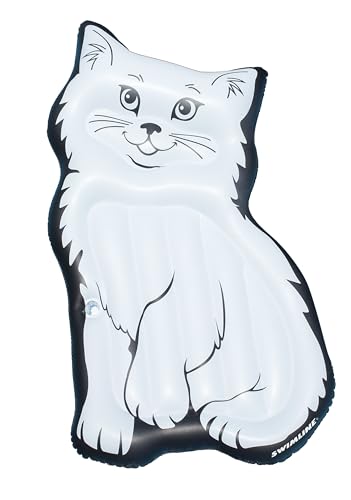 Pet Kitty Cat