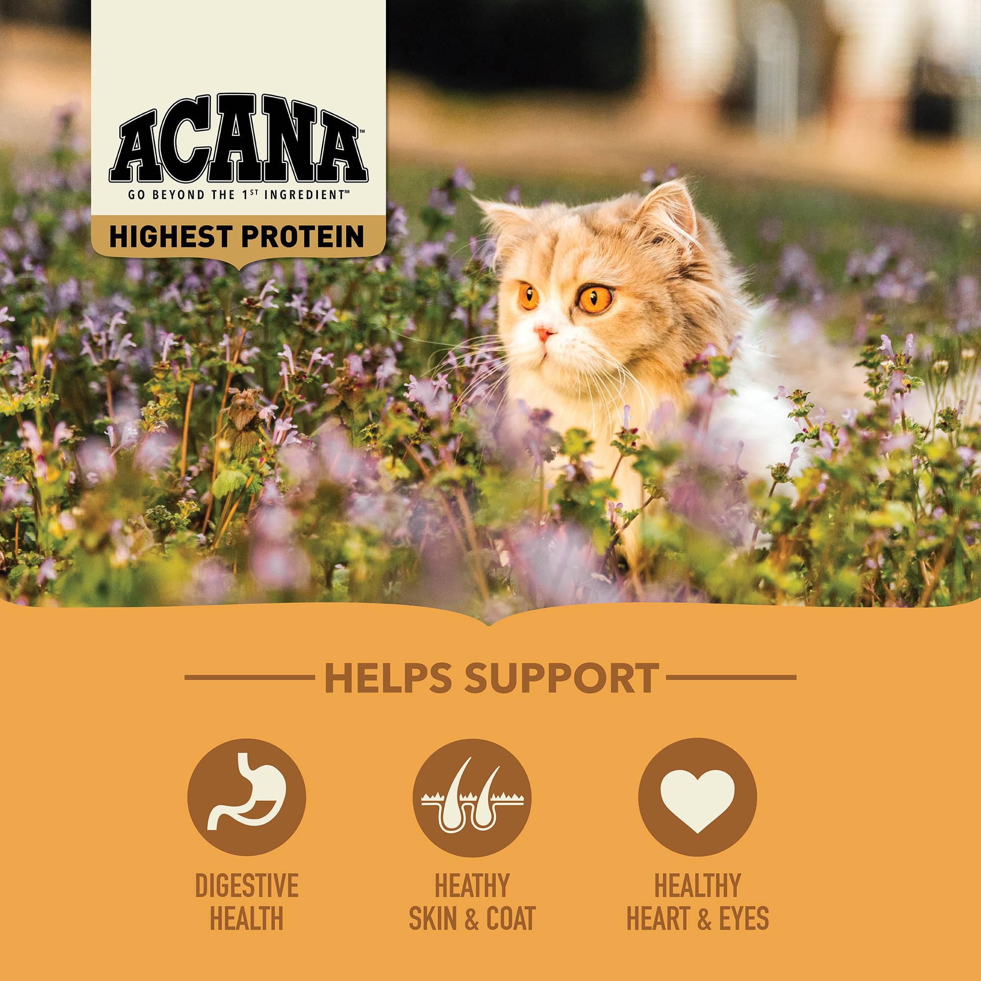 ACANA Highest Protein Grain-Free Dry Cat Food with Free-Run Chicken, Turkey & Chicken Liver - 10lb Bag for Adult Cats | Premium Nutrition for Indoor & Outdoor Cats