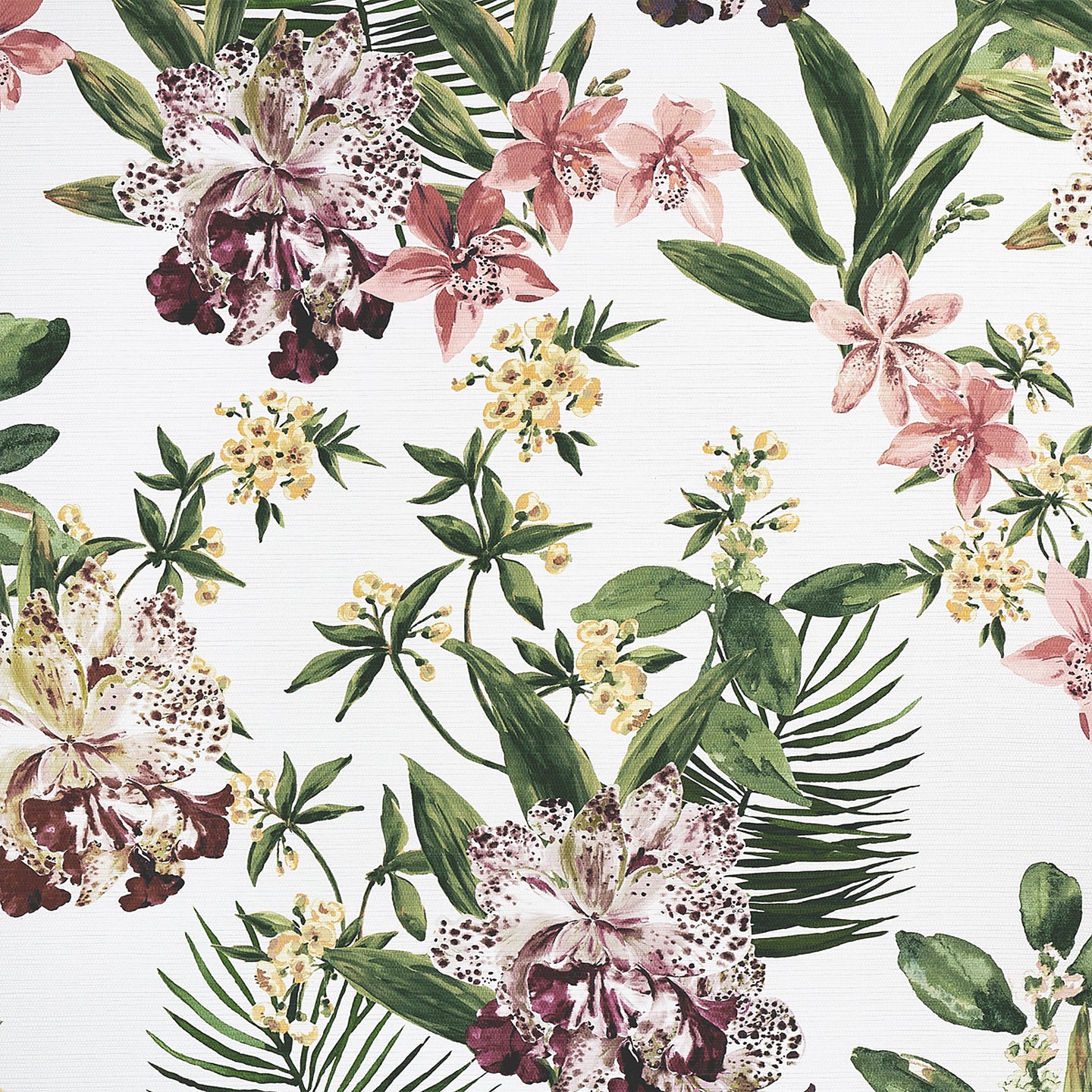 Aloha Orchids Mai Tai Multi Wallpaper by Phillip Jeffries - Tropical Floral Design for Living Room, Bedroom & Home Decor