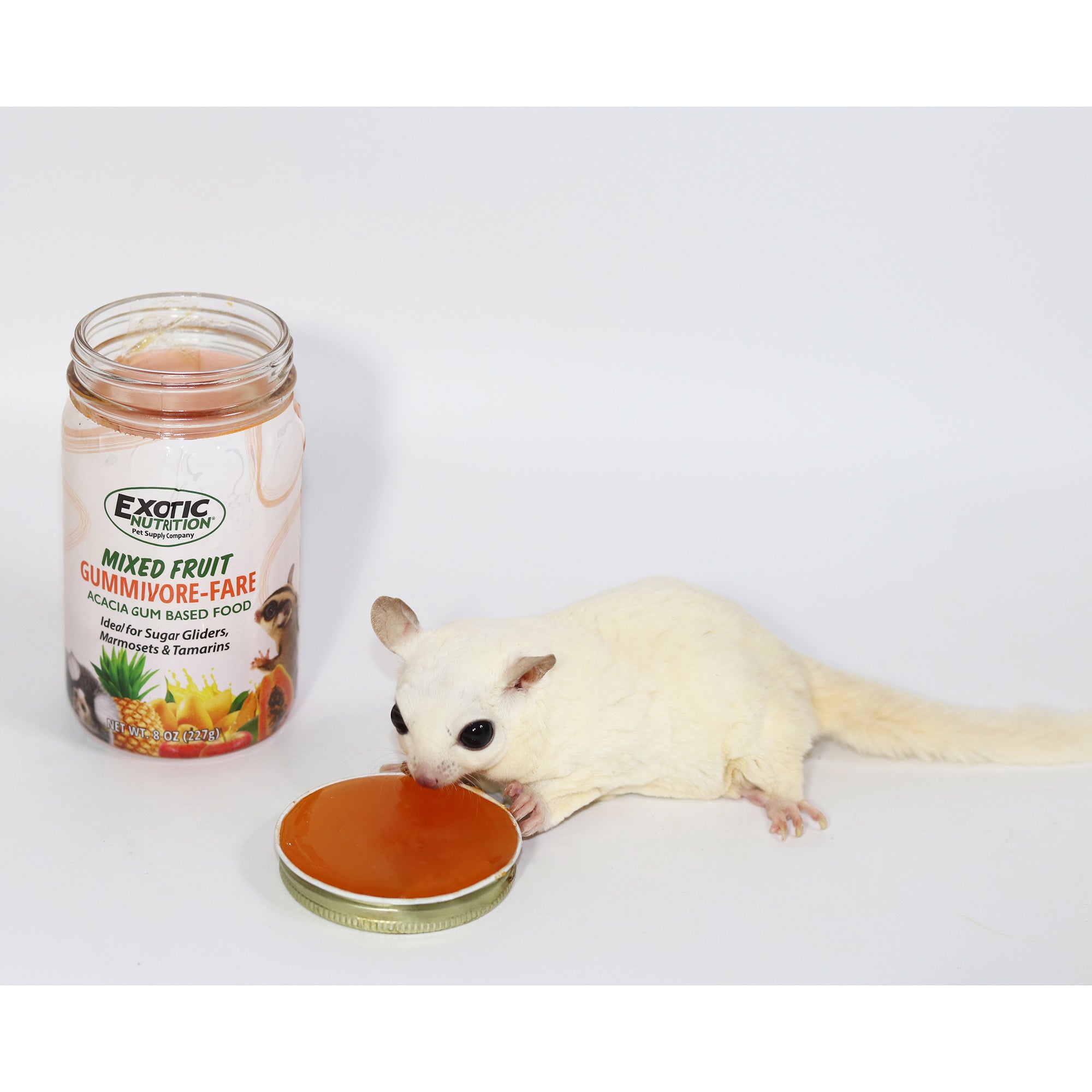 Premium Sugar Glider Food - Gummivore Fare Natural Diet for Optimal Health | Perfect for Pet Marsupials, Small Animals & Exotic Pets | Ideal for Daily Feeding & Nutritional Support