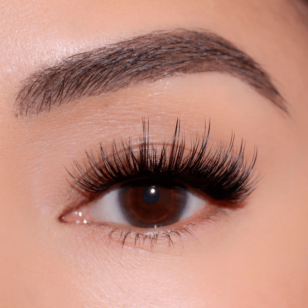 Professional Curated Eyelash Extension Kit - Natural & Dramatic Looks for Every Occasion | Perfect for Bridal, Party & Everyday Wear