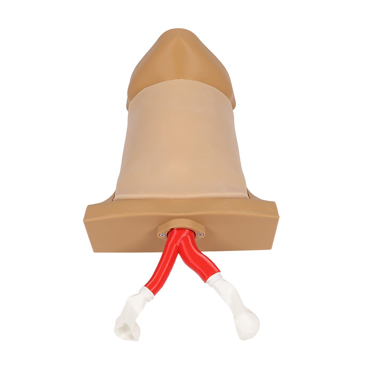 Crico Chris Cricothyrotomy Task Trainer - High-Quality Medical Simulation Model for Emergency Airway Training | Perfect for EMT, Paramedic & Medical Students Practice