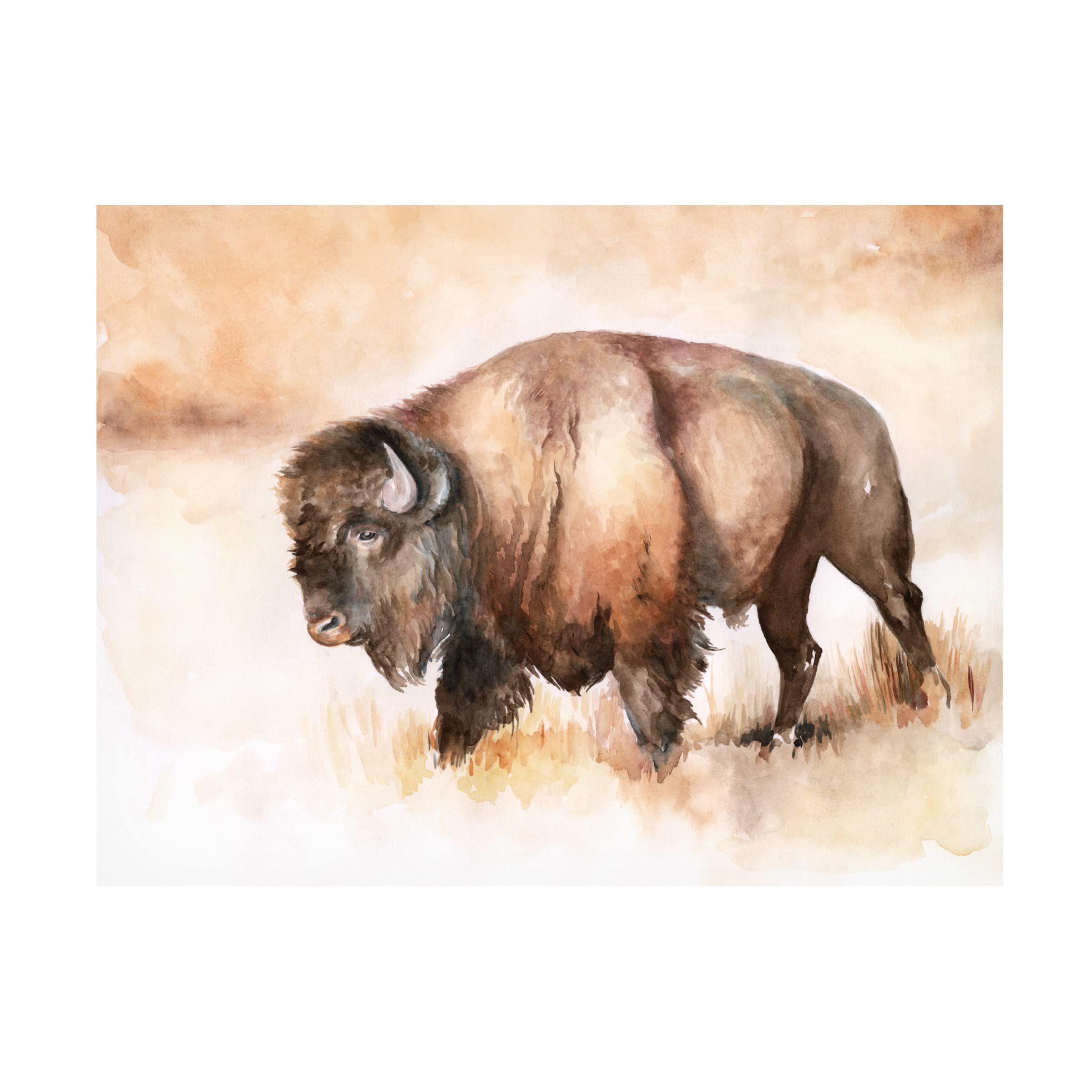 Buffalo Roam I Canvas Art Print by Jennifer Paxton Parker - Western Wildlife Wall Decor for Living Room, Office & Cabin