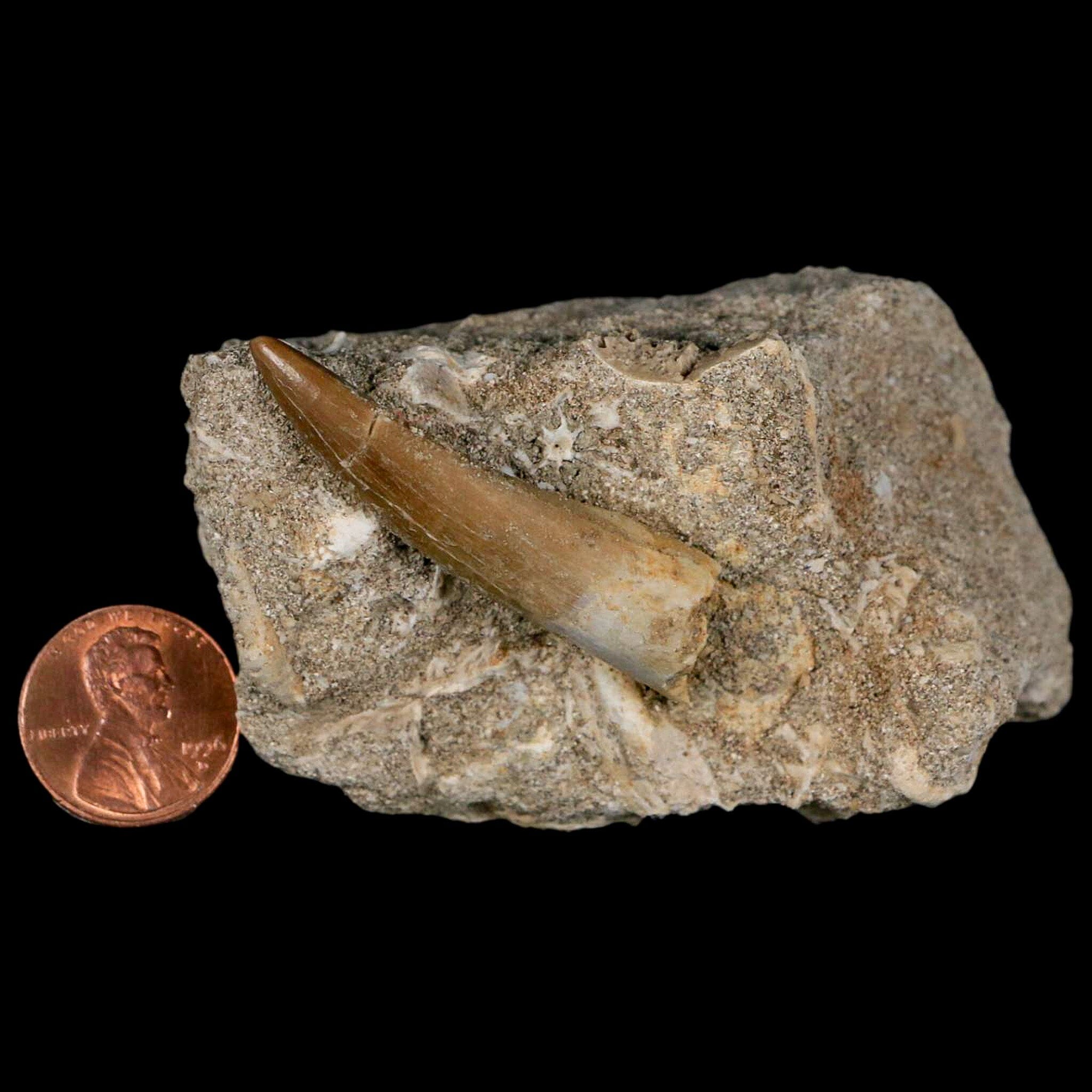 1.8