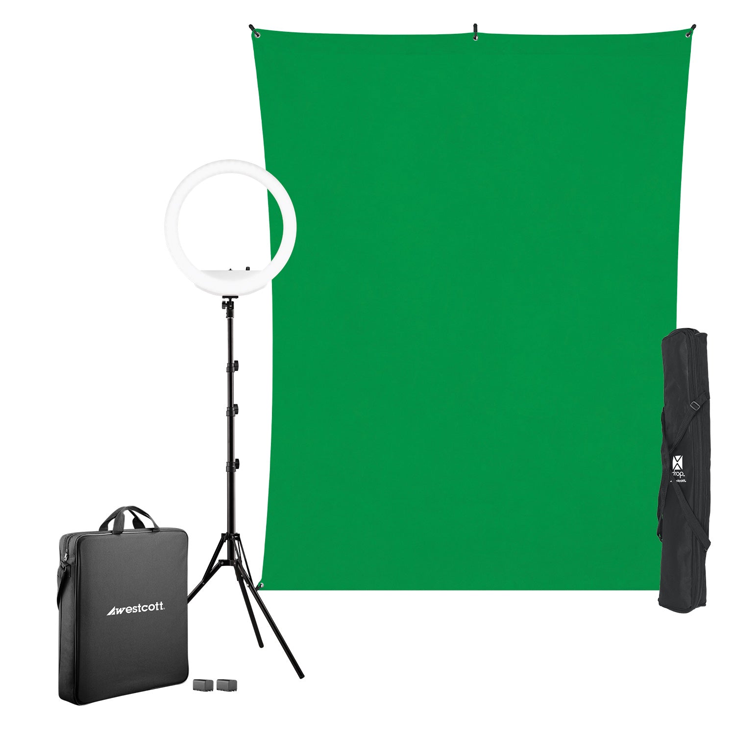 Professional Ring Light Kit with 10
