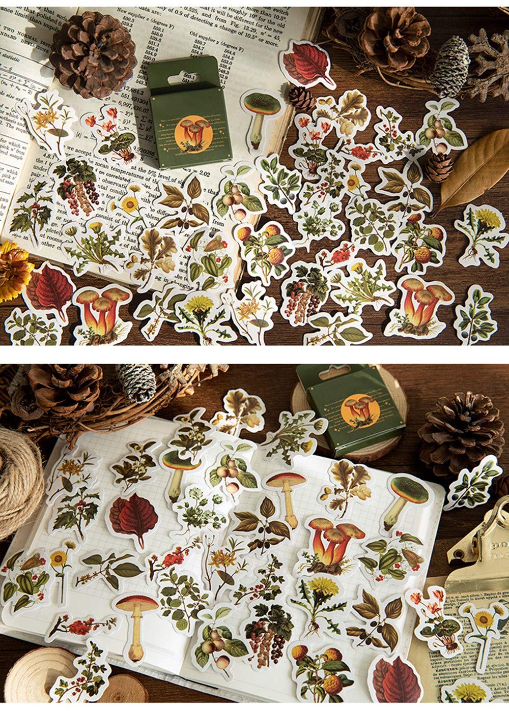 Aesthetic Plant Stickers Set - 92PC Cute Flower & Seasonal Wild Plant Decals for Scrapbooking, Fall Leaves Stickers for Laptop, Phone Case, Kindle, Journal, Planner, DIY Crafts - Perfect for Home Office, School Supplies & Gift Wrapping