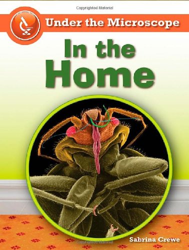 Under the Microscope - High-Quality Home Microscope for Kids & Adults | Perfect for Science Experiments, Education & Hobby Exploration