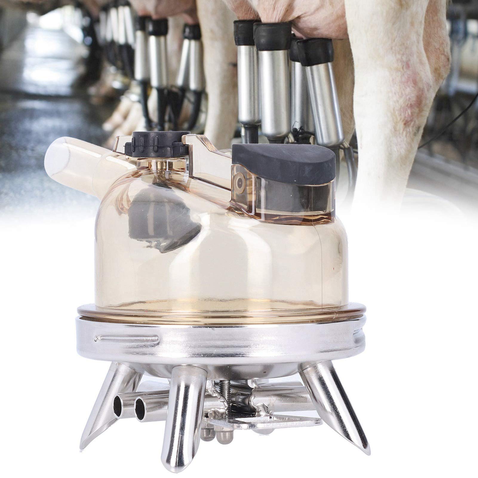CHEOTIME 400ml Stainless Steel Milking Claw - Durable Cow Milk Collector Tool for Farm Milking Machines | Perfect for Cows & Sheep | Ideal for Dairy Farms, Homesteads & Small-Scale Milk Production
