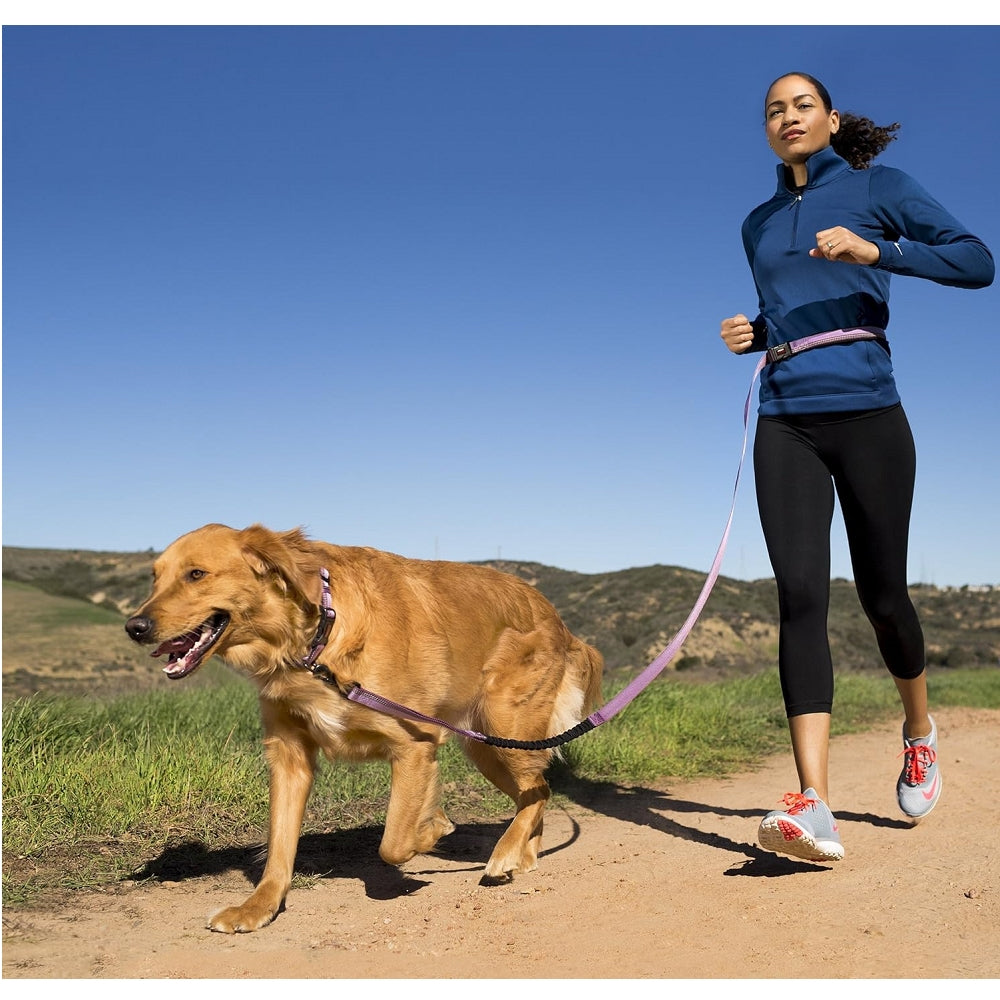 Halti All-in-One Dog Lead - Adjustable No-Pull Dog Leash for Training, Walking & Running - Perfect for Small, Medium & Large Dogs - Use for Daily Walks, Jogging & Outdoor Adventures