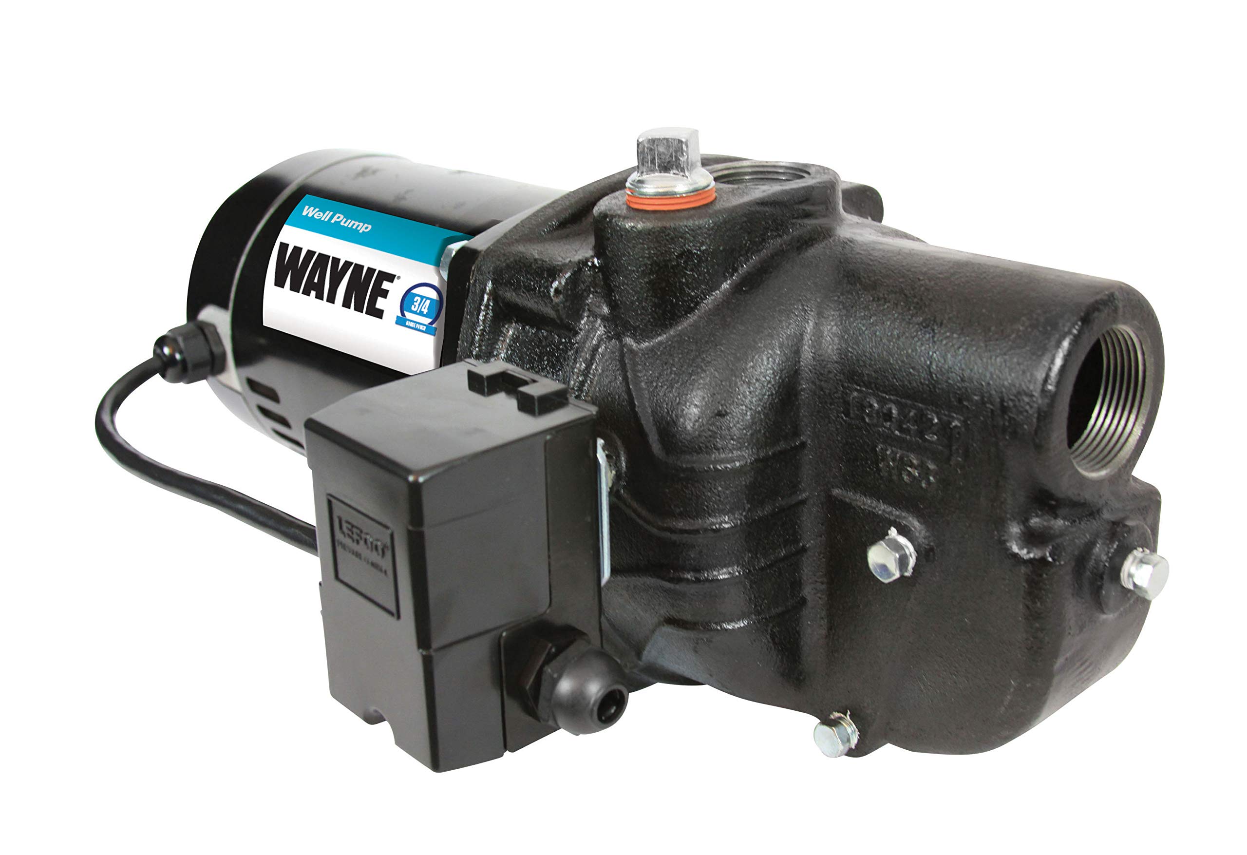 WAYNE SWS75 3/4 HP Cast Iron Shallow Well Jet Pump | 510 GPH High Flow | Heavy Duty Water Pump for Home, Farm & Irrigation | Reliable Water Supply Solution