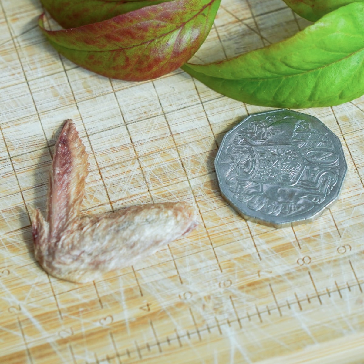 Premium Freeze-Dried Free-Range Quail Wings for Dogs & Cats – High-Protein, Grain-Free Treats – Perfect for Training, Rewards & Dental Health