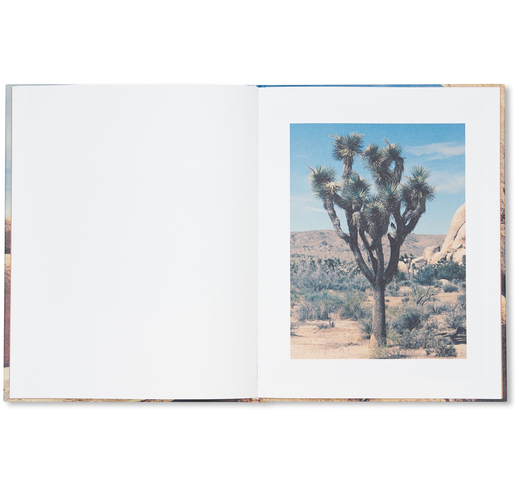 NO WATER by Romain Laprade - Premium Home Decor & Wall Art for Modern Living Rooms, Bedrooms, and Offices