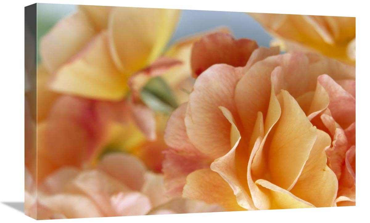 Global Gallery Yellow Rose Bouquet Canvas Art Print - 24x16 Inch Floral Wall Decor for Living Room, Bedroom & Office - North America & Europe Shipping