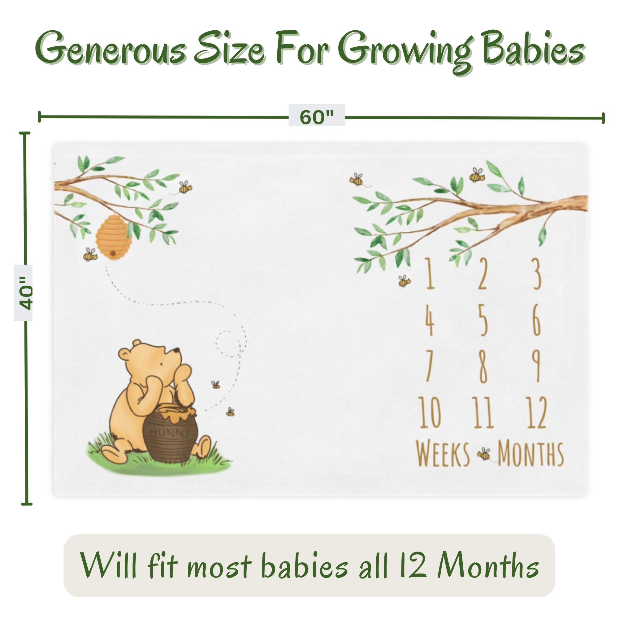Winnie Bear Baby Milestone Blanket - Minky Fleece 60x40