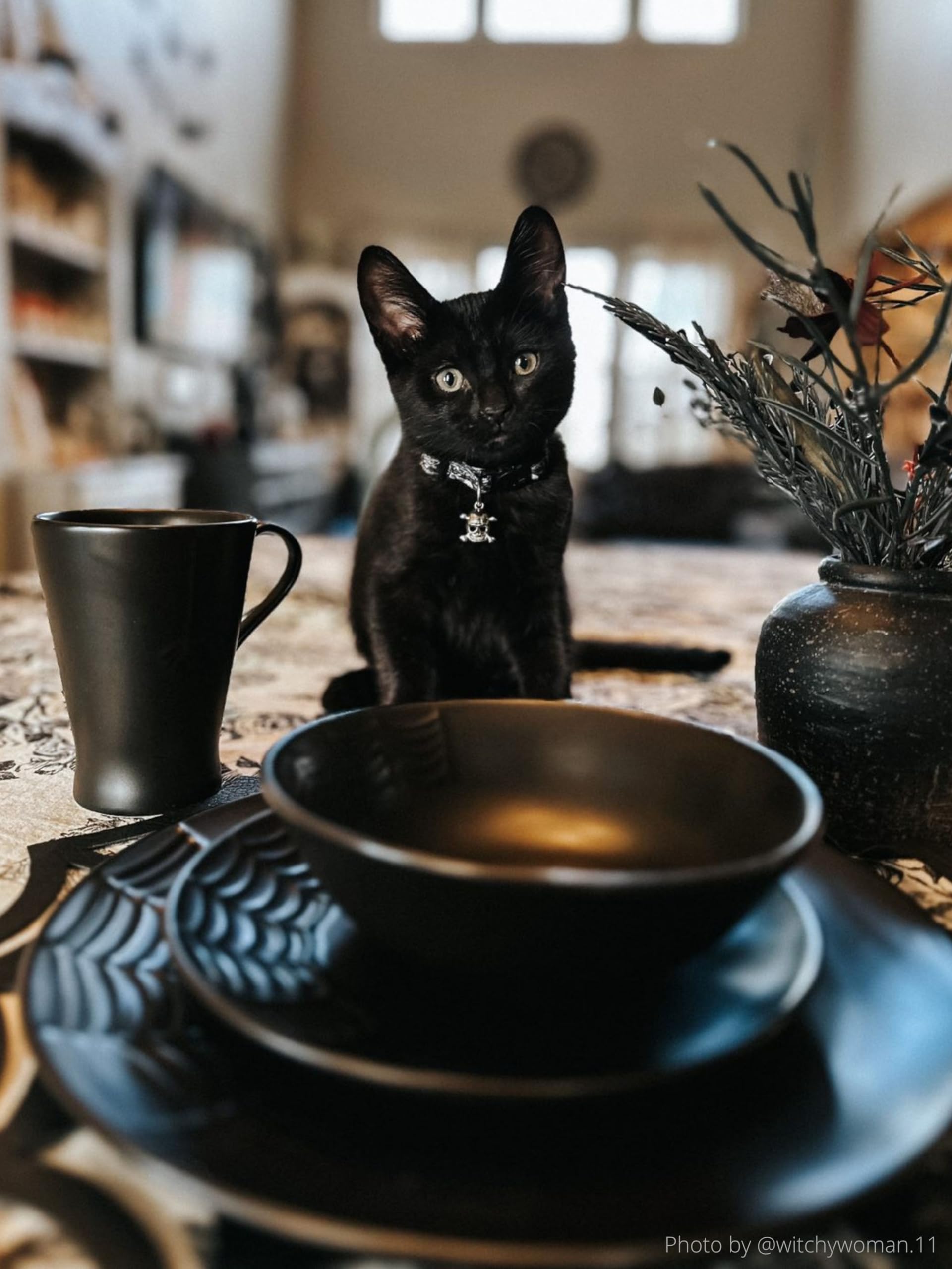 Nomnu 16-Piece Gothic Spiderweb Dinnerware Set - Black Matte Porcelain Plates, Bowls & Mugs - Halloween, Goth Kitchen Decor - Perfect for Spooky Dinner Parties, Gothic Weddings & Vampire-Themed Events