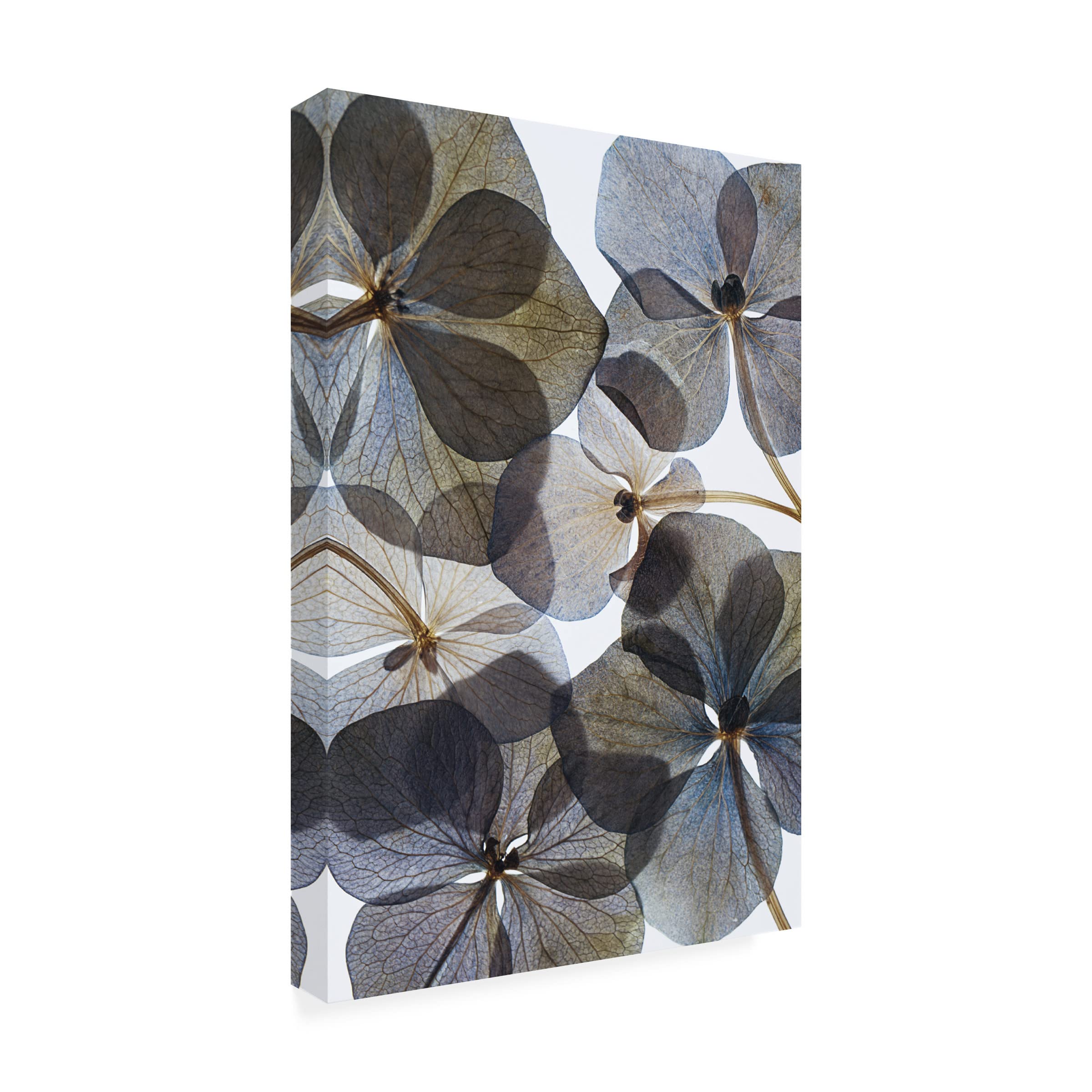 Lenka's 'Botanical 21' Floral Canvas Wall Art Print - Modern Home Decor for Living Room, Bedroom & Office | Trademark Fine Art Collection