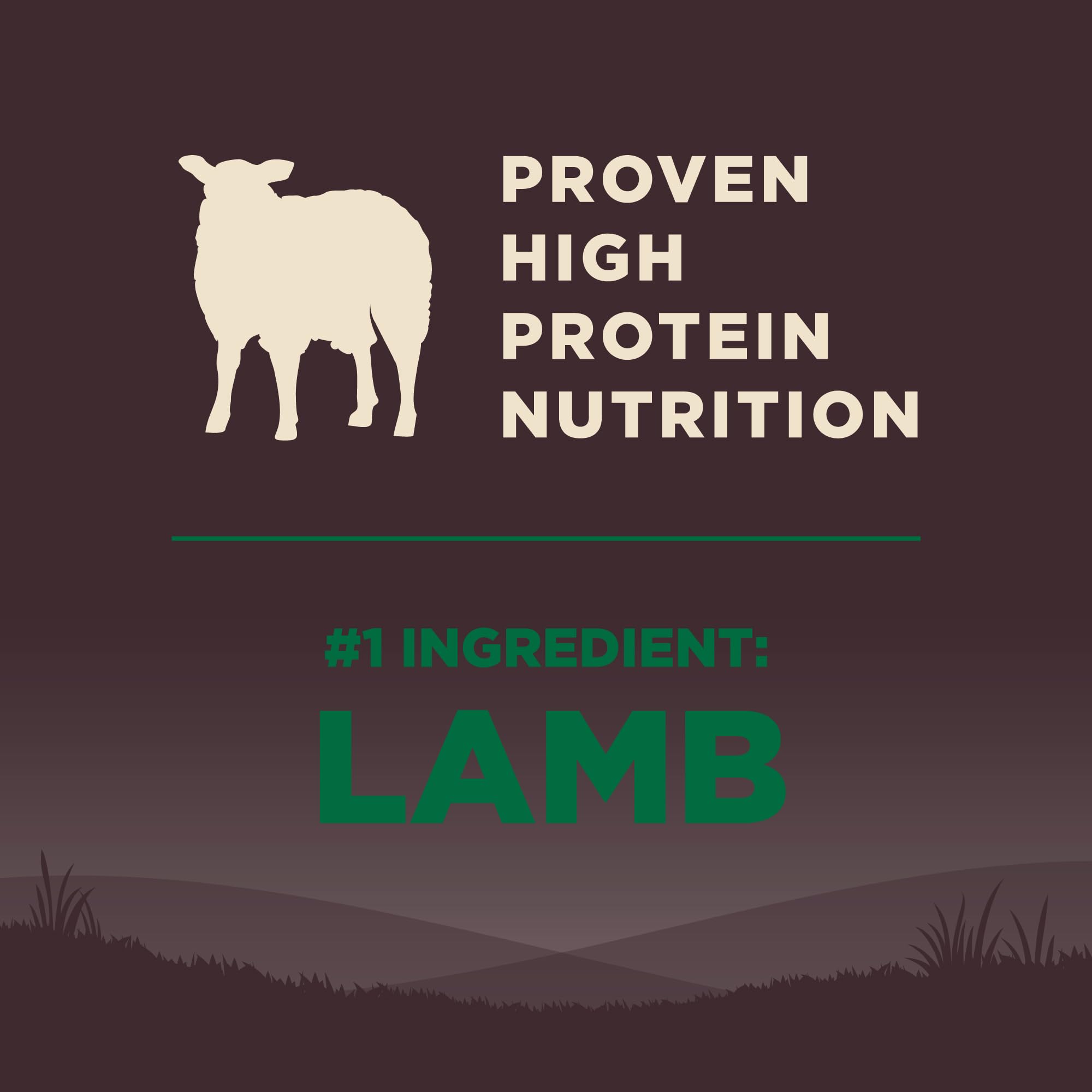 Wellness CORE Grain-Free High-Protein Dry Dog Food for Adult Dogs - Natural Ingredients with Real Lamb, Made in USA - All Breed Sizes (22lb Bag) - Perfect for Active Dogs & Weight Management