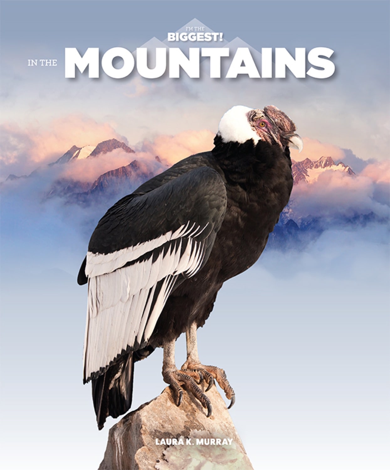 Premium Hiking Gear & Outdoor Equipment for Mountain Adventures - Durable Backpacks, Trekking Poles & Camping Essentials