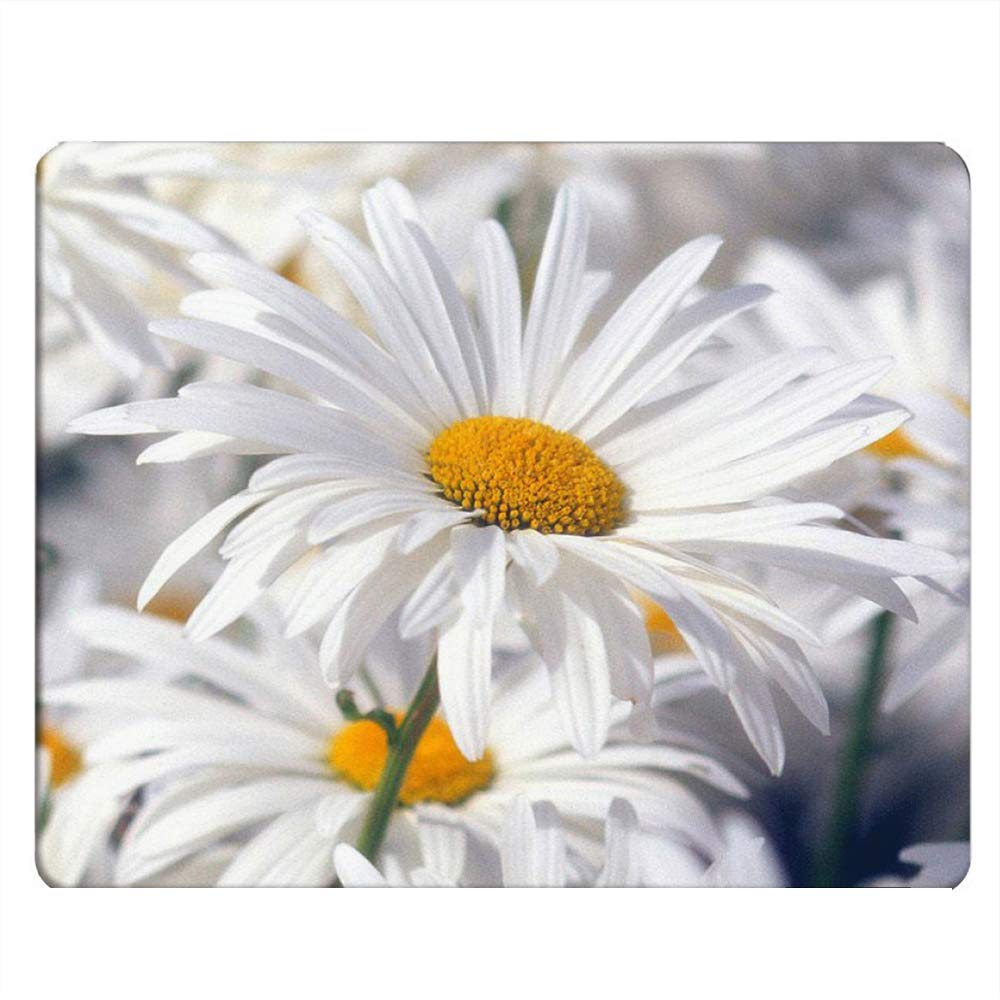 Daisy Flower Gaming Mouse Pad - Non-Slip Rubber Base, 9.5 x 7.9 Inch White Computer Mouse Mat for PC, Laptop & Office Desk - Perfect for Gaming, Work & Home Office Setup