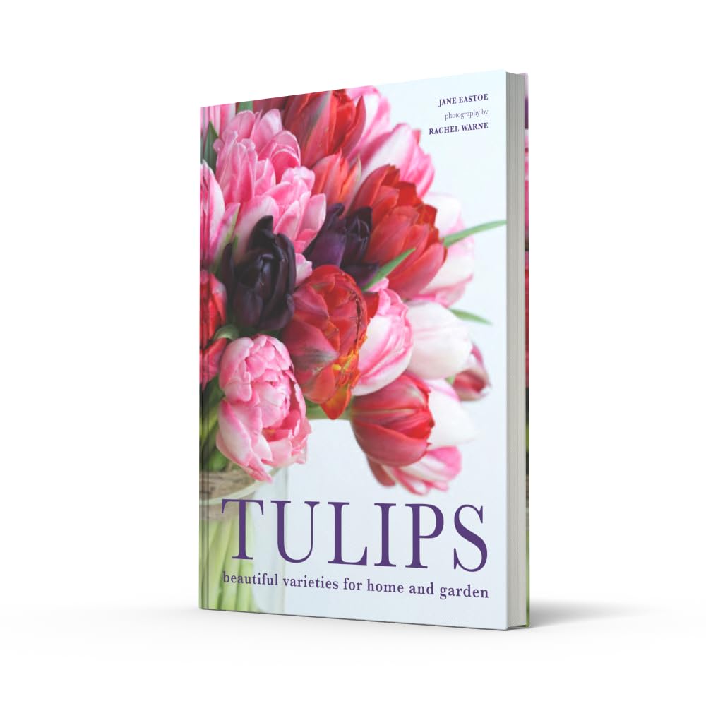 Stunning Tulip Bulbs for Sale - Premium Flower Varieties for Home & Garden Decor | Perfect for Landscaping, Bouquets & Spring Planting