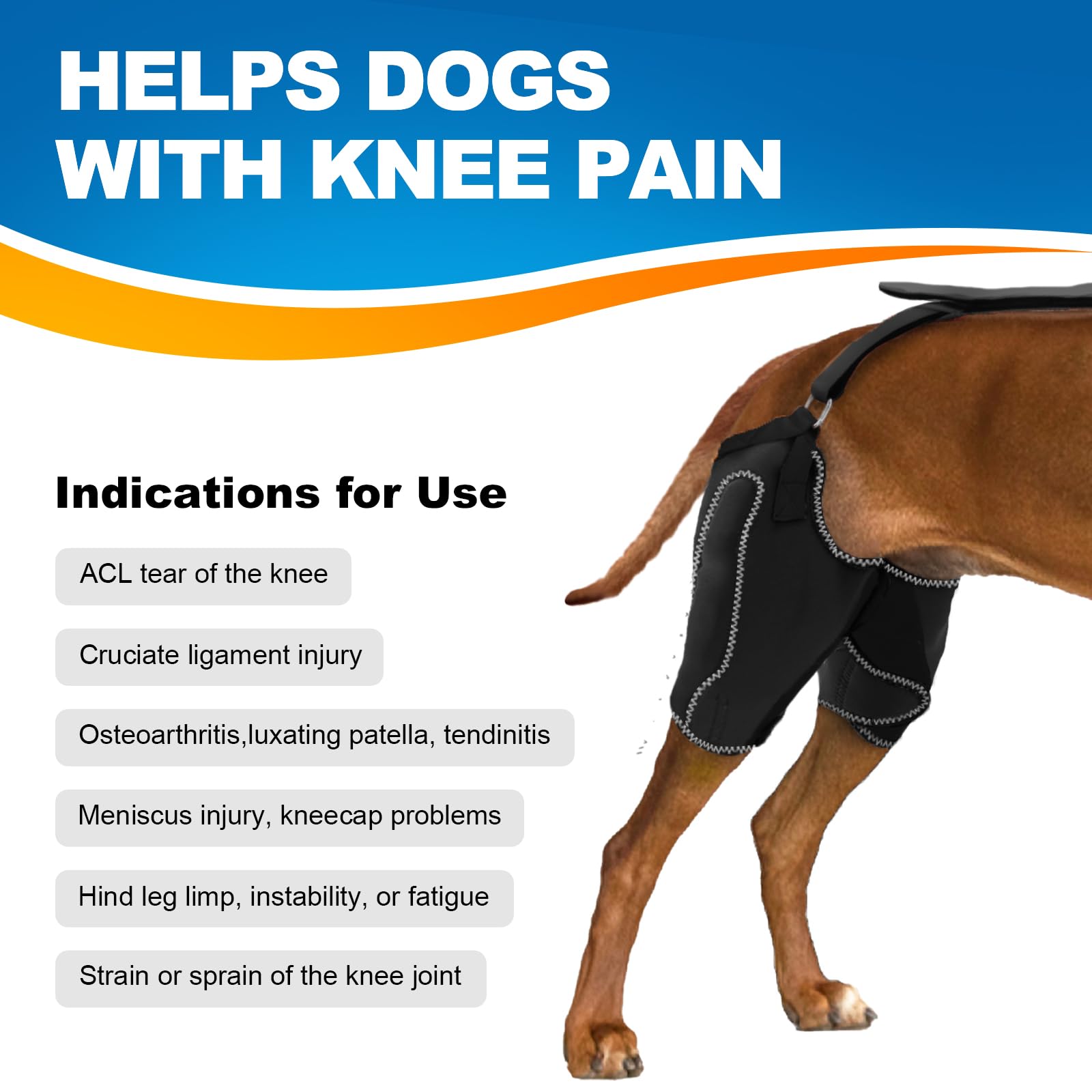 Chamin/Risurry Dog Knee Brace Support for Back Legs with Metal Splint Hinge - ACL/CCL Cruciate Ligament Injury, Osteoarthritis, Luxating Patella & Muscle Sore Relief (Black, XL) - Ideal for Post-Surgery Recovery, Active Dogs & Senior Pet Care