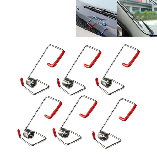 6pcs