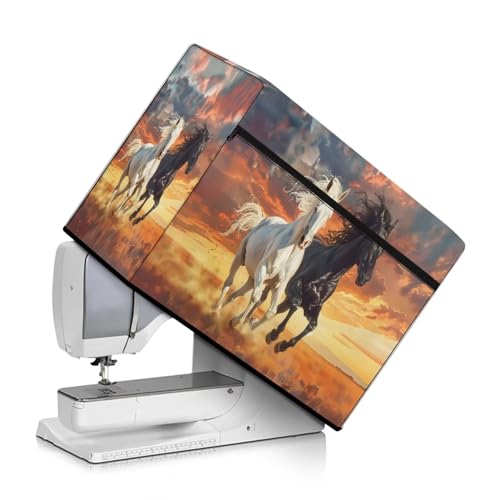 Horse Sunset