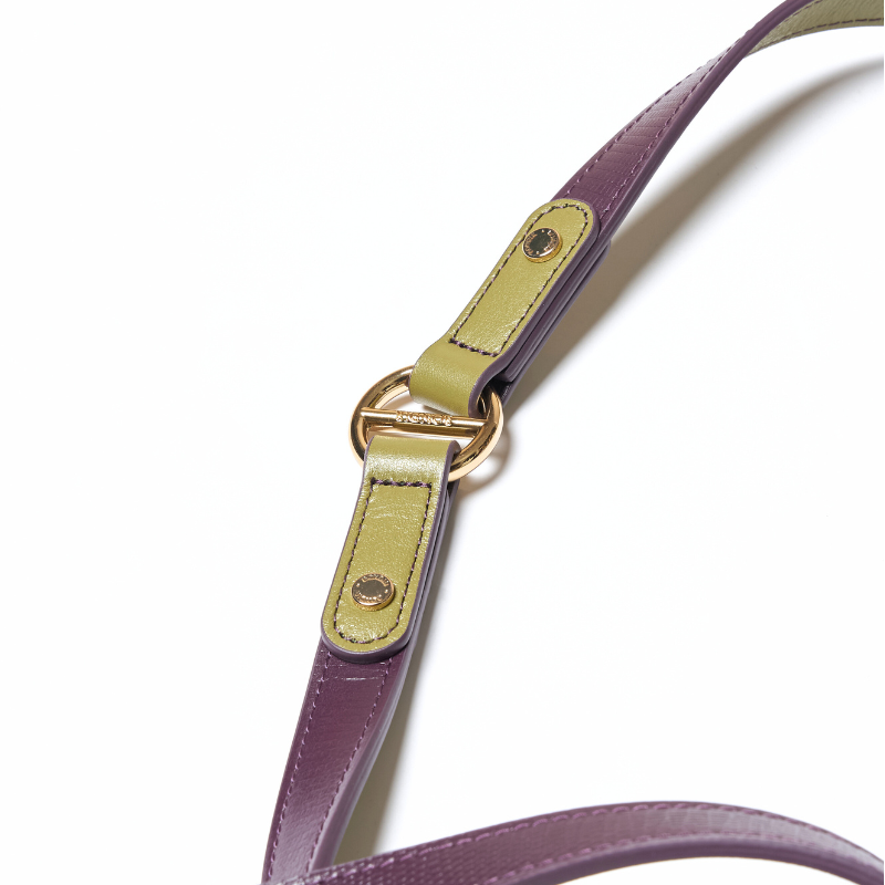 Hands-Free Dog Leash for Walking & Training - Adjustable No-Pull Pet Leash with Comfortable Padding - Perfect for Running, Hiking & Outdoor Adventures