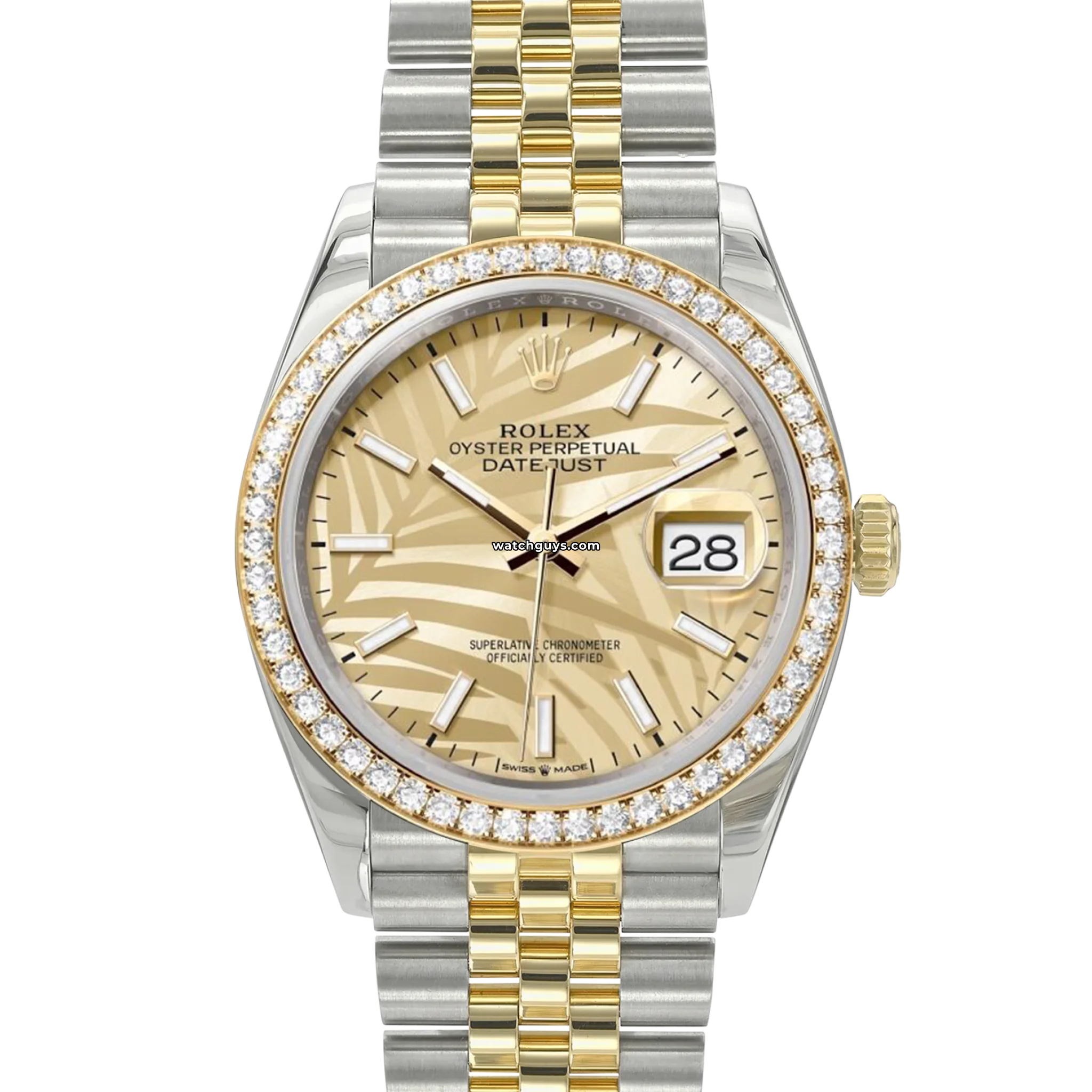 Rolex Datejust 126283RBR 36mm Men's Watch - Palm Motif Dial, Champagne Diamond Bezel, Stainless Steel & Gold - Luxury Dress Watch for Business & Formal Occasions
