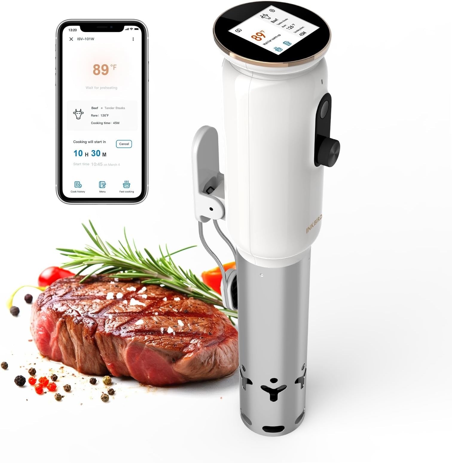 WiFi Sous Vide Cooker ISV 101W - Precision Temperature Control Smart Immersion Circulator for Steak, Chicken, Fish | Perfect for Home Chefs & Restaurant Quality Meals