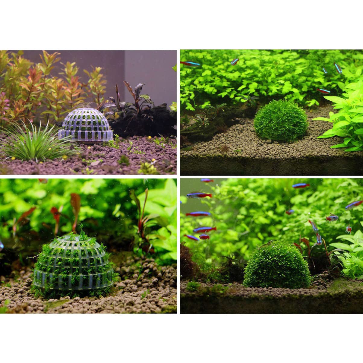 POPETPOP Aquarium Ball Holder - Plastic Fish Tank Plant Holder for Aquatic Plants, Submerged or Floating Decor - Perfect for Shrimp & Fish Tanks | Ideal for Aquascaping & Underwater Landscaping