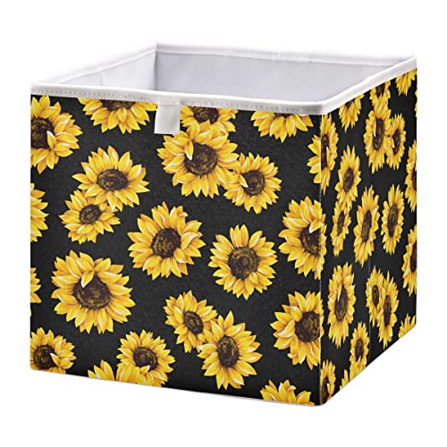 black sunflower