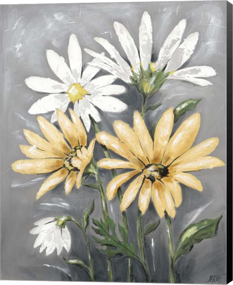 Summer Daisies II by Jade Reynolds - 16x20 Inch Canvas Wall Art Print, Museum Wrapped with Black Edges - Floral Home Decor for Living Room, Bedroom & Office