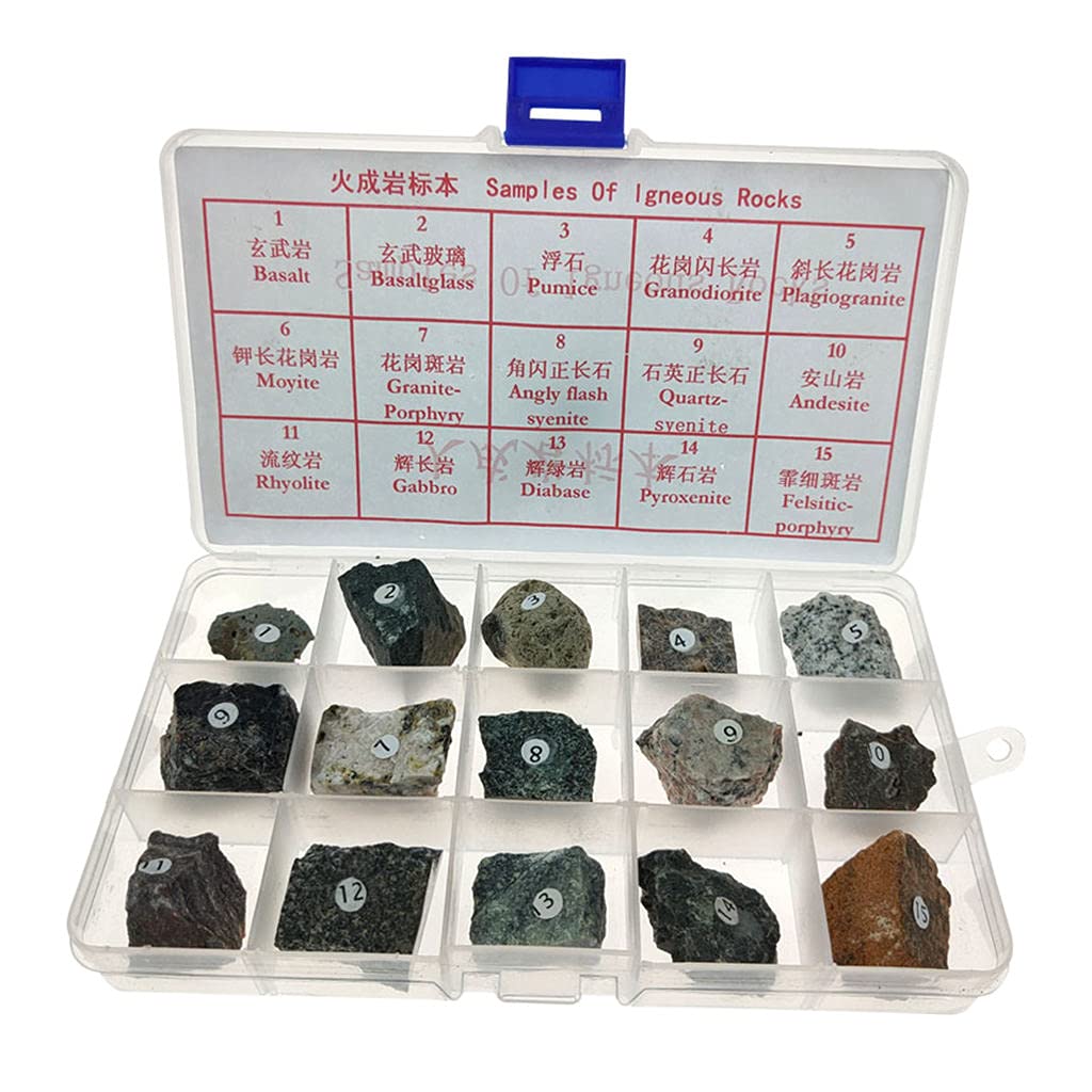 AMLESO Igneous & Metamorphic Rock Specimen Kit - Geology Teaching Supplies for Classroom & Homeschool Science Education | Ideal for Teachers, Students & Rock Collectors