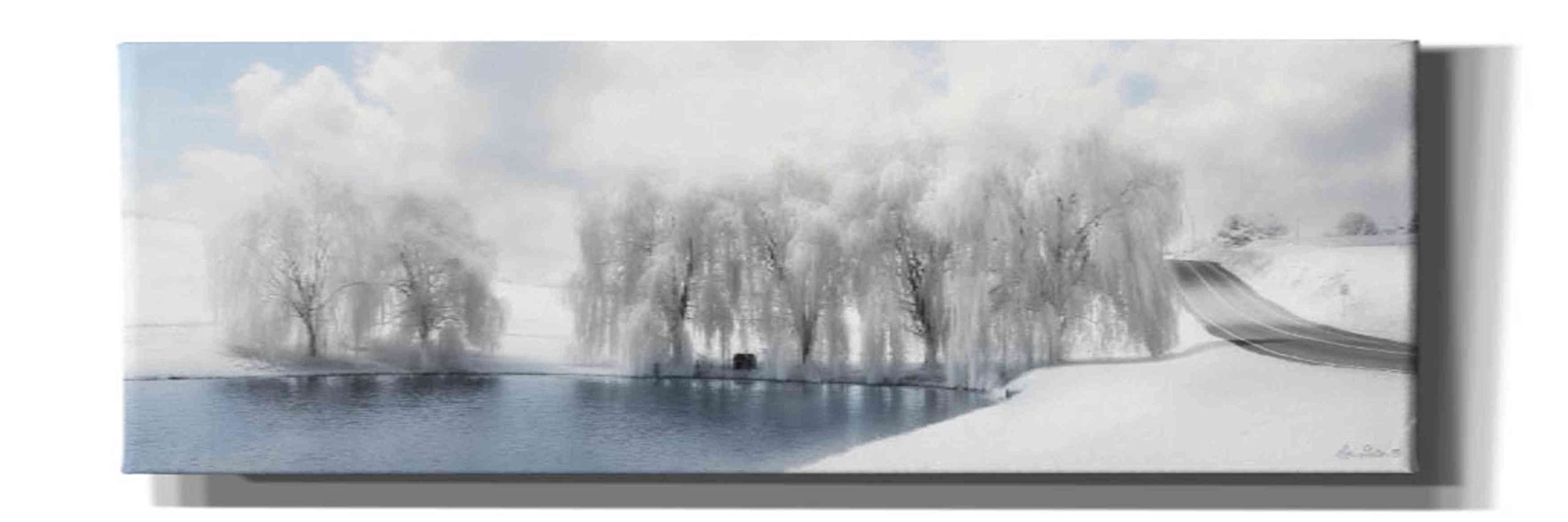 Epic Graffiti 'Winter Willow' by Lori Deiter - 36x12 Inch Canvas Wall Art for Living Room, Bedroom & Office Decor - Modern Abstract Painting for Home & Office