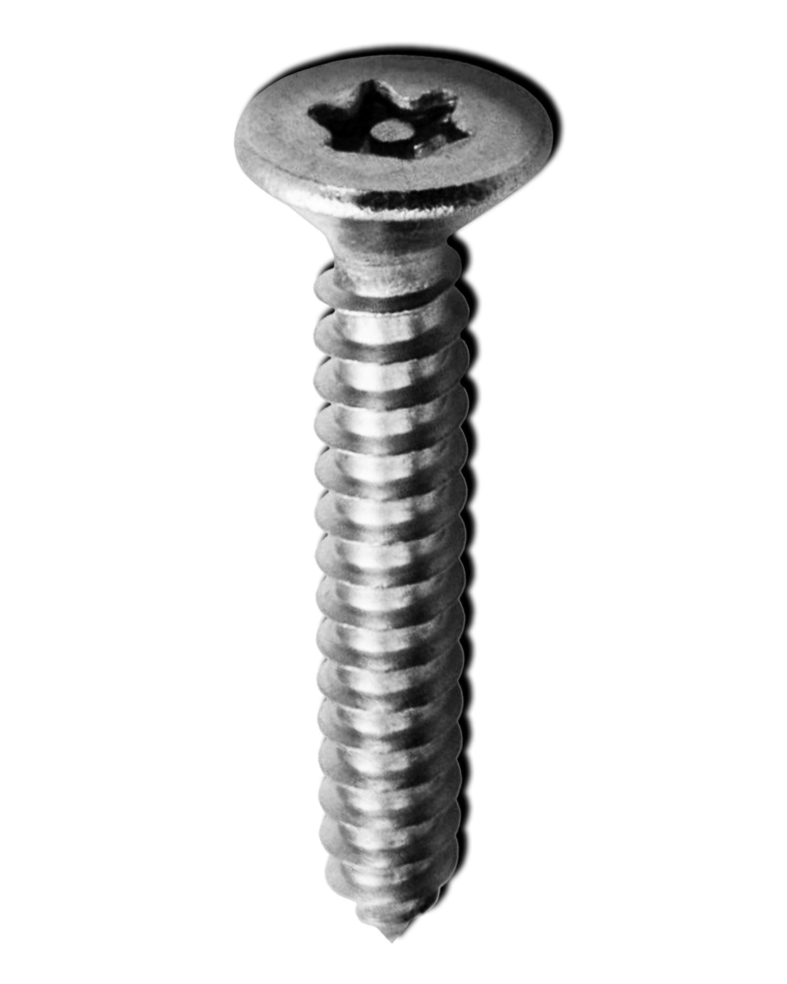 Stainless Steel Pan Head Self-Tapping Screws #10 x 1-1/4