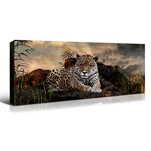 Nature Animal108