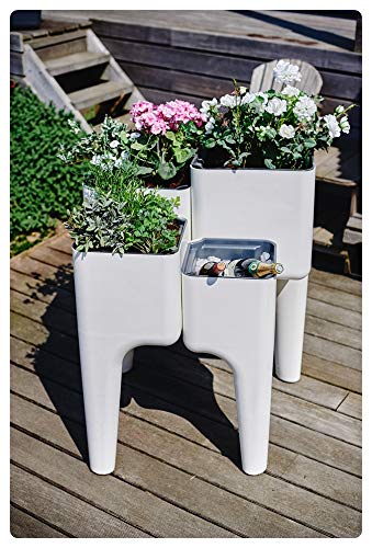 KiGA Kitchen Garden - White Indoor Herb Growing Kit for Fresh Culinary Herbs | Perfect for Home Cooking, Gardening Enthusiasts & Organic Lifestyle