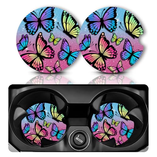 Colorful Butterfly