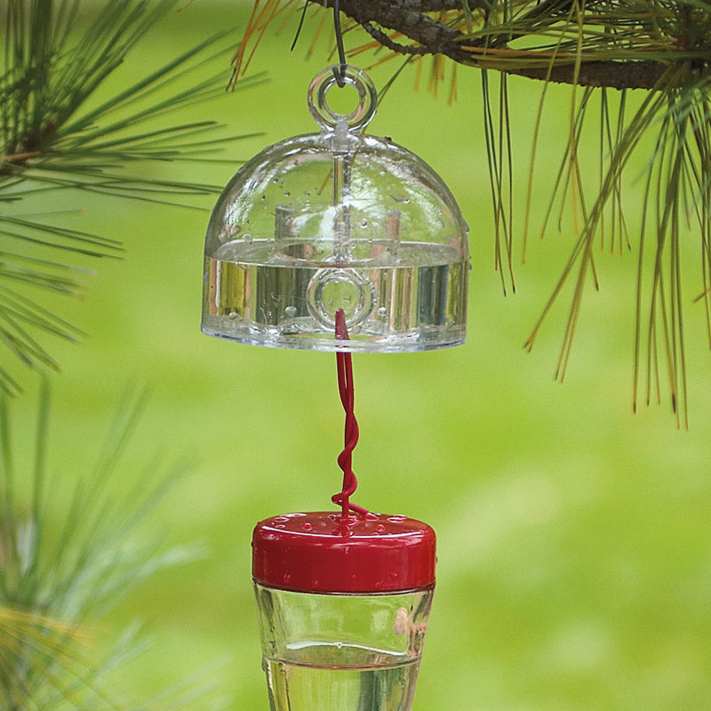 Detour Ant Moat - Effective Ant Barrier for Hummingbird Feeders & Outdoor Use