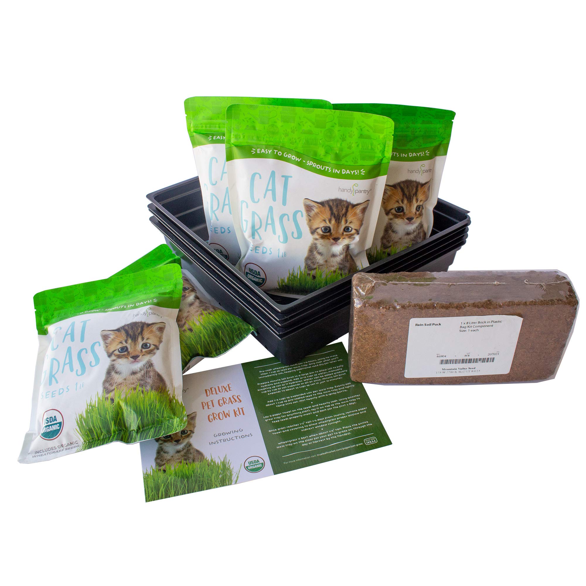 Premium Organic Cat Grass Growing Kit - 5 LBS Organic Wheatgrass Seeds, Coconut Coir Soil, Trays & Guide - Grow Healthy Cat Grass for Indoor Cats, Dogs & Small Pets - Perfect for Pet Wellness & Home Decor