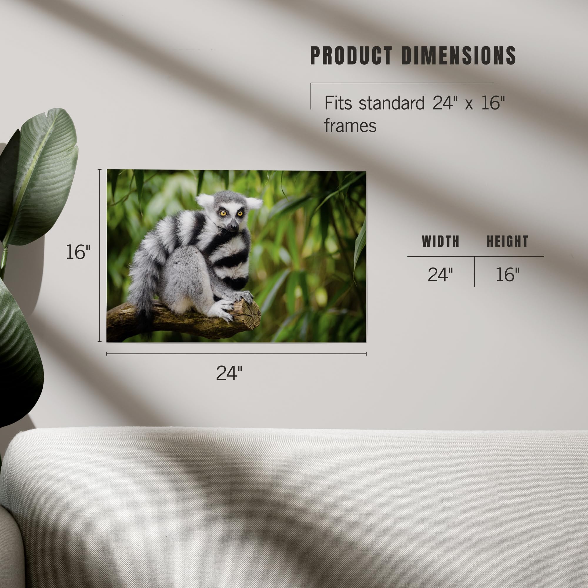Lantern Press 16x24 Inch Giclee Print - Ring-Tailed Lemur Sitting on Branch Wall Art | Premium Wildlife Home Decor for Living Room, Bedroom & Office