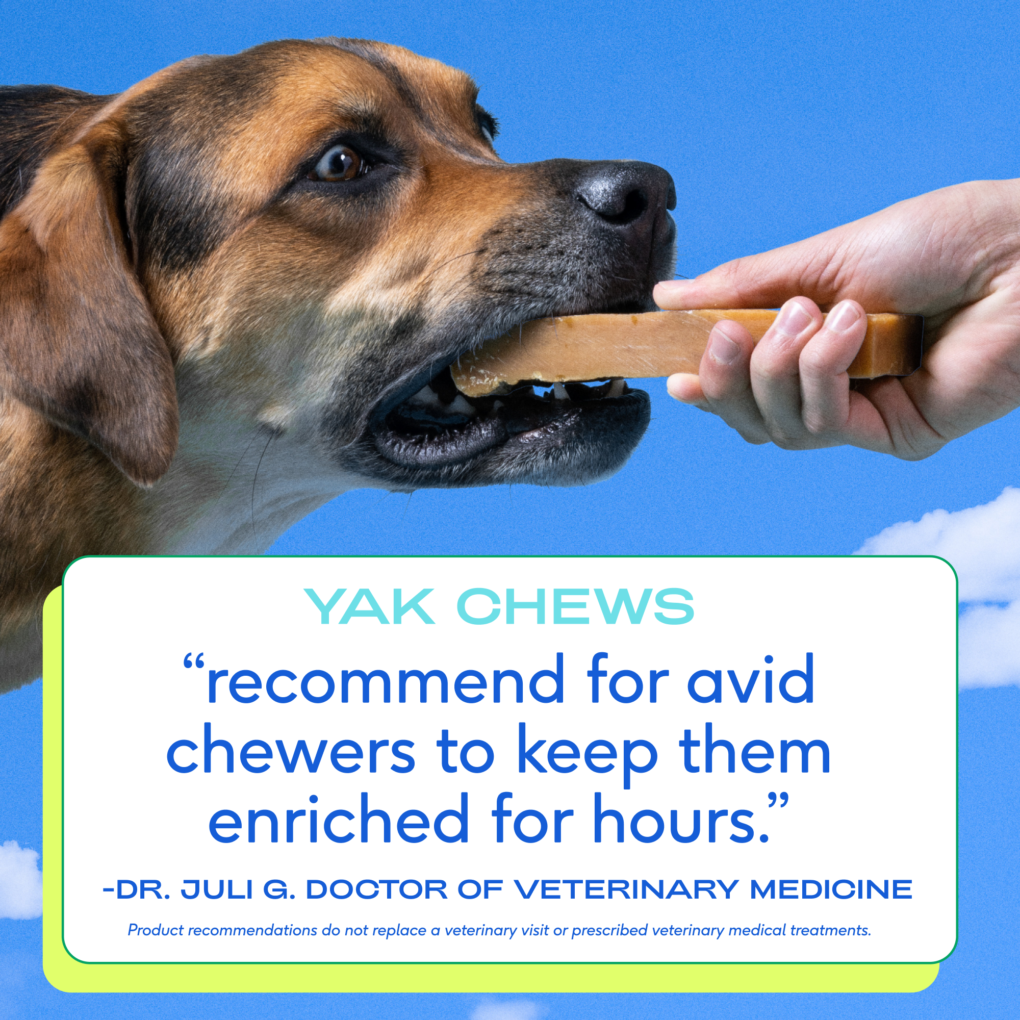 Premium Natural Yak Cheese Chews for Dogs - All-Natural, Long-Lasting Dental Treats for Puppies & Adult Dogs - Perfect for Teething, Training & Chewing Needs